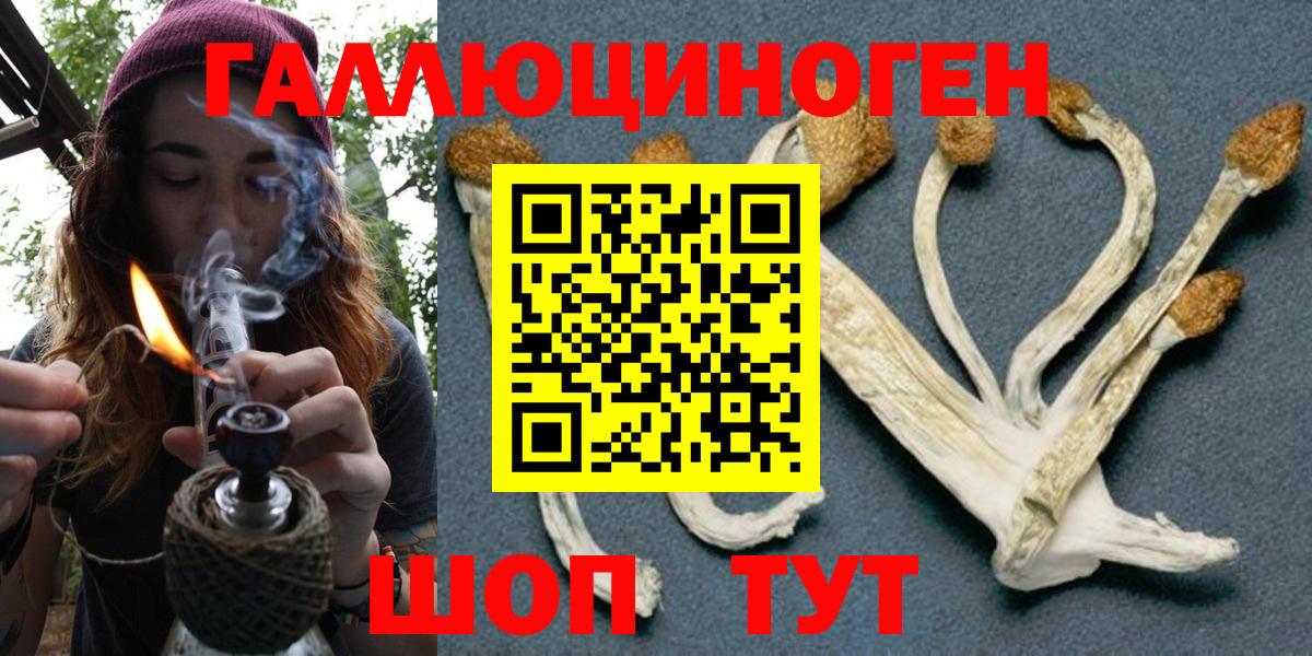 Ачхой-Мартан  как найти наркотики  Вход с VPN  Галлюциногенные грибы GOLDEN TEACHER 