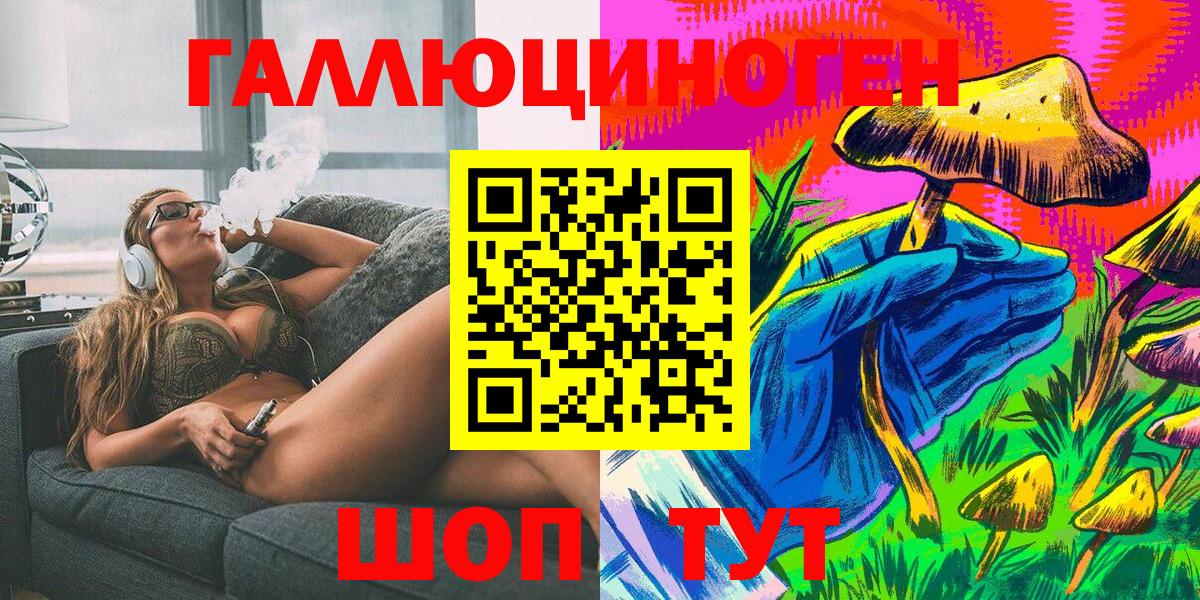 Псилоцибиновые грибы Psilocybe Ачхой-Мартан