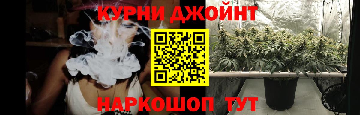 Канабис AK-47 Ачхой-Мартан